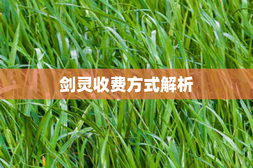 剑灵收费方式解析图片