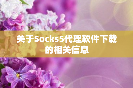 关于Socks5代理软件下载的相关信息图片