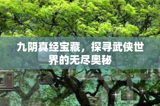 探寻武侠世界的无尽奥秘图片