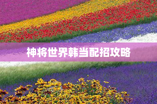 神将世界韩当配招攻略图片