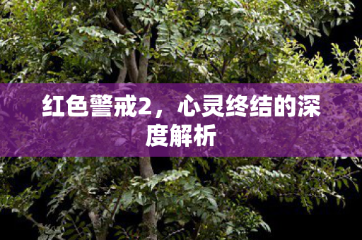 心灵终结的深度解析图片