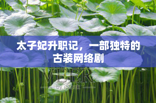 一部独特的古装网络剧图片