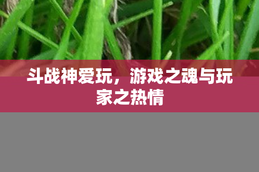 游戏之魂与玩家之热情图片