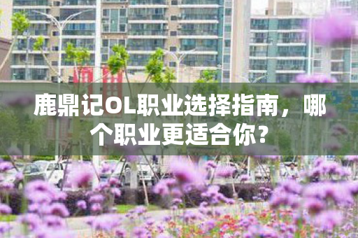 鹿鼎记OL职业选择指南图片