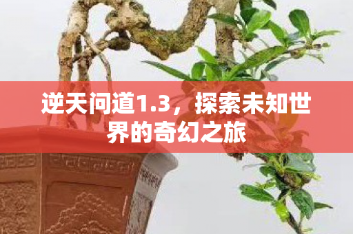探索未知世界的奇幻之旅图片