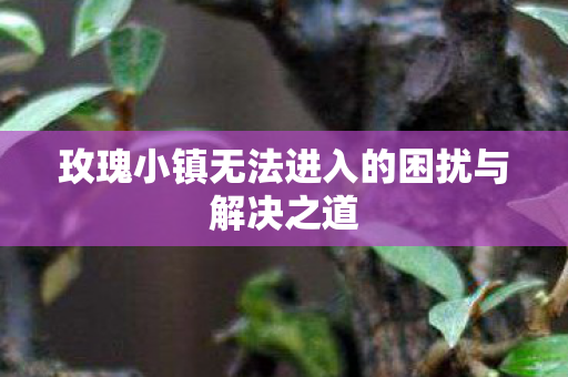 玫瑰小镇无法进入的困扰与解决之道图片