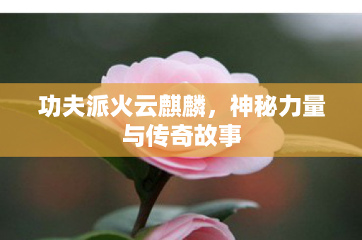 神秘力量与传奇故事图片