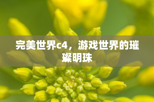 游戏世界的璀璨明珠图片