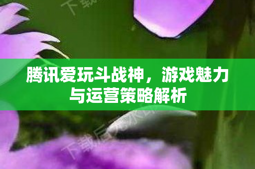 游戏魅力与运营策略解析图片