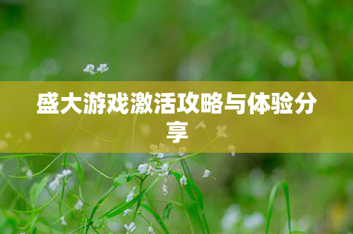 盛大游戏激活攻略与体验分享图片