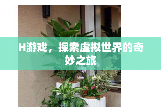 探索虚拟世界的奇妙之旅图片