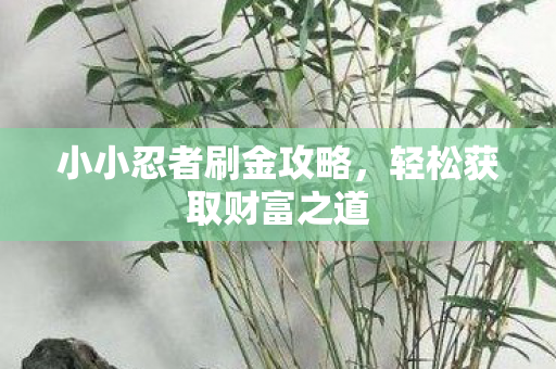 小小忍者刷金攻略图片