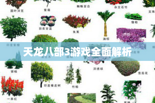 天龙八部3游戏全面解析图片