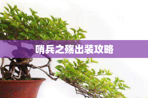 哨兵之殇出装攻略图片