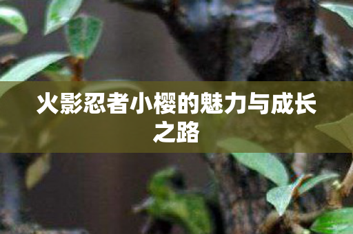火影忍者小樱的魅力与成长之路图片