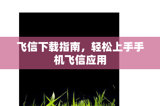 轻松上手手机飞信应用图片