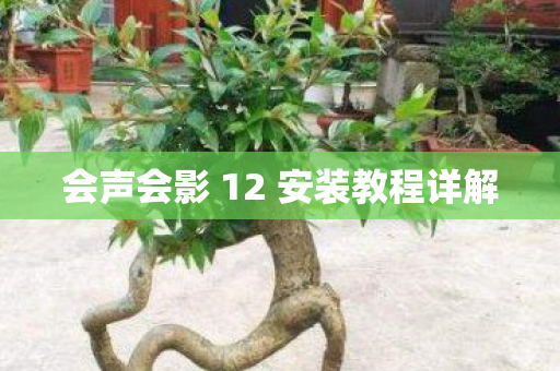 会声会影 12 安装教程详解图片