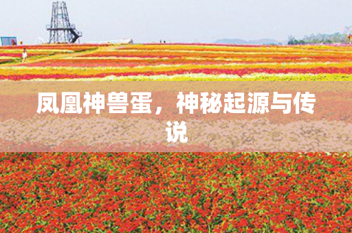 神秘起源与传说图片