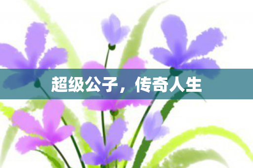 超级公子图片
