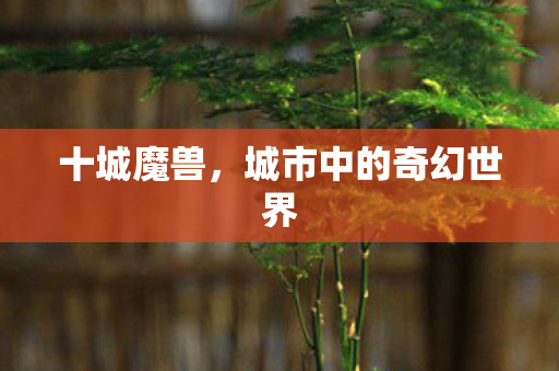 城市中的奇幻世界图片