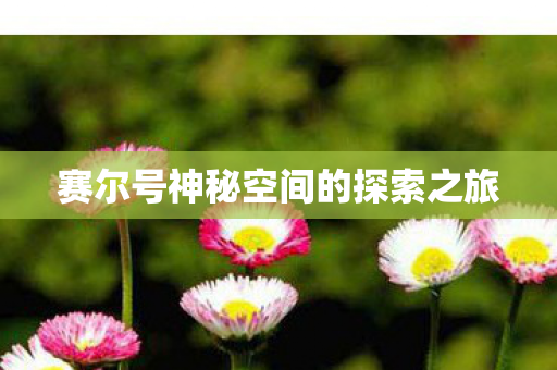 赛尔号神秘空间的探索之旅图片