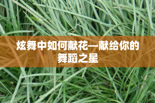 献给你的舞蹈之星图片