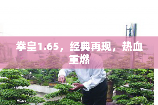 经典再现图片