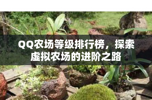 探索虚拟农场的进阶之路图片