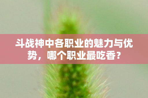 斗战神中各职业的魅力与优势图片