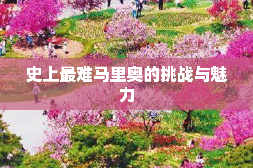 史上最难马里奥的挑战与魅力图片
