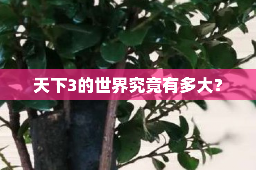 天下3的世界究竟有多大图片