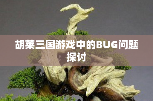 胡莱三国游戏中的BUG问题探讨图片