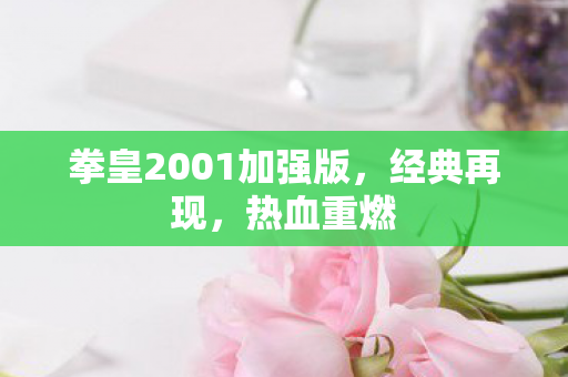 拳皇2001加强版图片