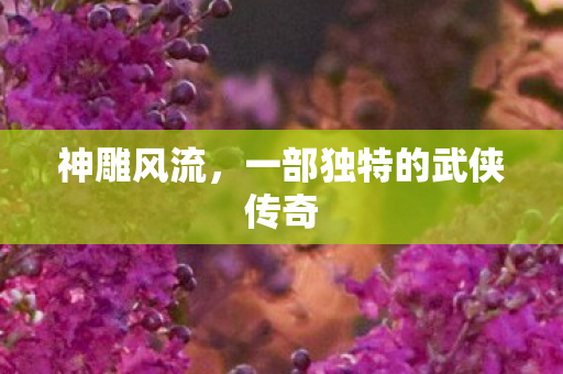 一部独特的武侠传奇图片