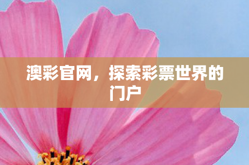探索彩票世界的门户图片