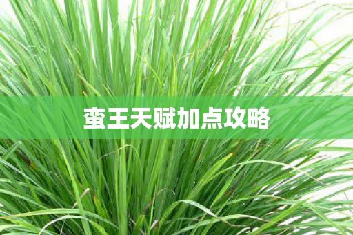 蛮王天赋加点攻略图片