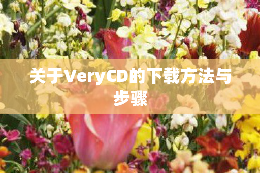 关于VeryCD的下载方法与步骤图片