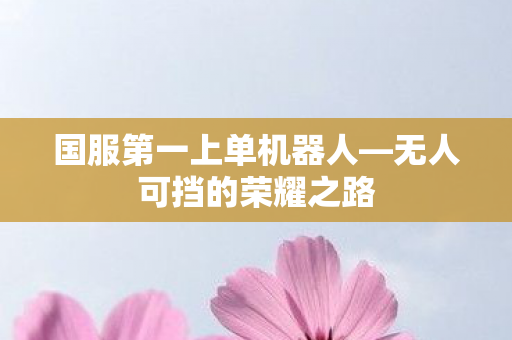 国服第一上单机器人图片