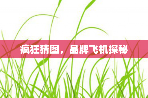 品牌飞机探秘图片