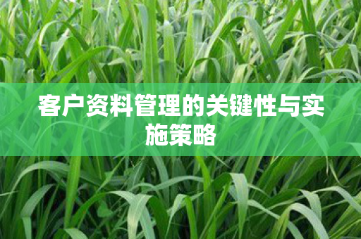 客户资料管理的关键性与实施策略图片