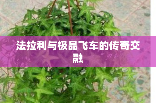 法拉利与极品飞车的传奇交融图片