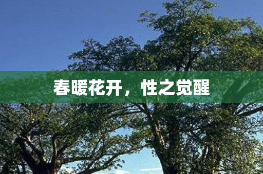 春暖花开图片