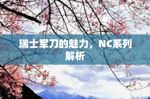 瑞士军刀的魅力图片