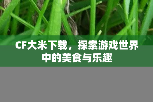 探索游戏世界中的美食与乐趣图片