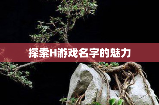 探索H游戏名字的魅力图片