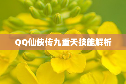 QQ仙侠传九重天技能解析图片