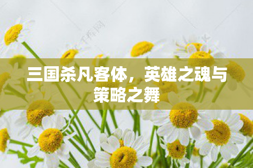 英雄之魂与策略之舞图片