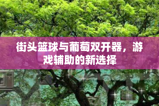 街头篮球与葡萄双开器图片