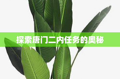探索唐门二内任务的奥秘图片
