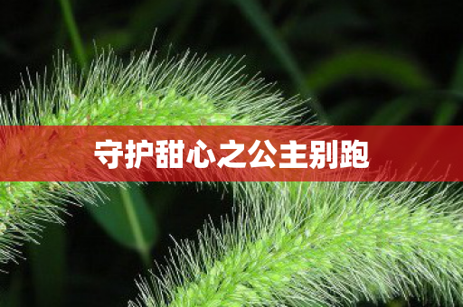 守护甜心之公主别跑图片